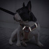 Padded Mesh French Bulldog Harness - French Bulldog Store