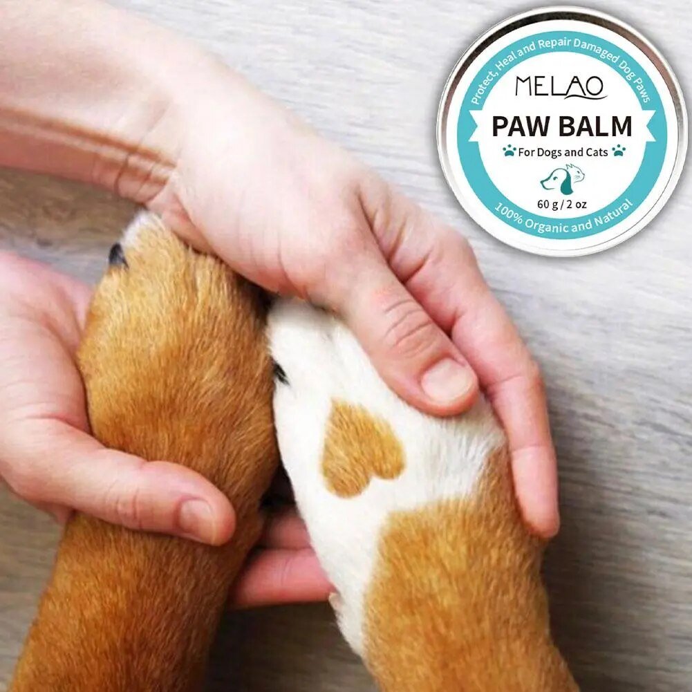 PawSoothlushion™ French Bulldog Paw Balm - French Bulldog Store