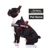 Personalized French Bulldog Service Dog Harness - French Bulldog Store