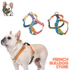 Rainbow Rhapsody Frenchie Harness - French Bulldog Store