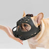 Short Snout French Bulldogs Flat-Faced Muzzle - French Bulldog Store