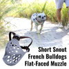 Short Snout French Bulldogs Flat-Faced Muzzle - French Bulldog Store