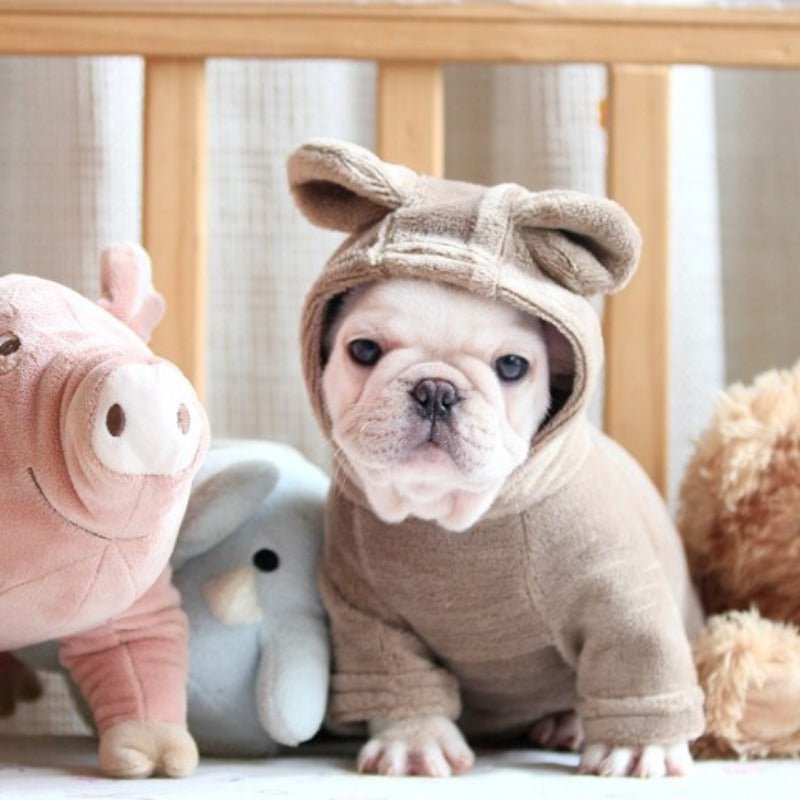 Cream French Bulldog puppy wearing brown SnugFeel™ French Bulldog Jumpsuit surrounded by plush toys