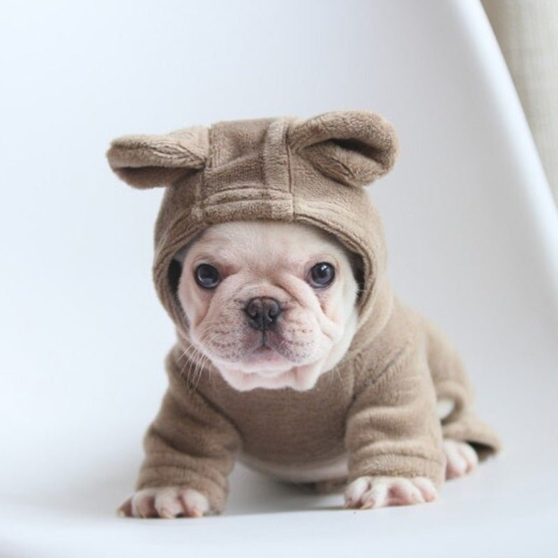 Cream French Bulldog puppy wearing brown SnugFeel™ French Bulldog Jumpsuit