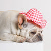 Summer Frenchie Hat - French Bulldog Store