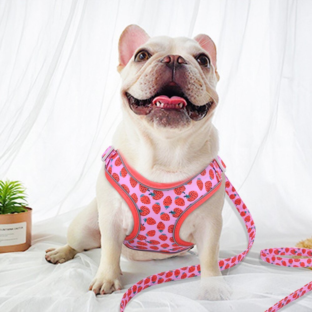 Summer Vibes French Bulldog Harness - French Bulldog Store