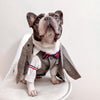 Three Piece Gentleman French Bulldog Suit - French Bulldog Store