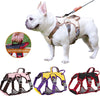 U-Shaped French Bulldog Harness - French Bulldog Store