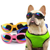UV French Bulldog Sunglasses - French Bulldog Store