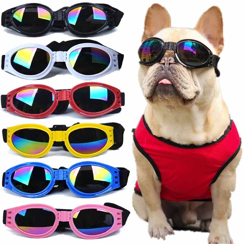 UV French Bulldog Sunglasses - French Bulldog Store