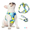 Vivid Comfort Frenchie Harness - French Bulldog Store