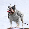Load image into Gallery viewer, Warm French Bulldog Vest Harness - French Bulldog Store