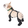 Waterproof French Bulldog Winter Boots With Flexible Straps - French Bulldog Store