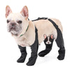 Waterproof French Bulldog Winter Boots With Flexible Straps - French Bulldog Store