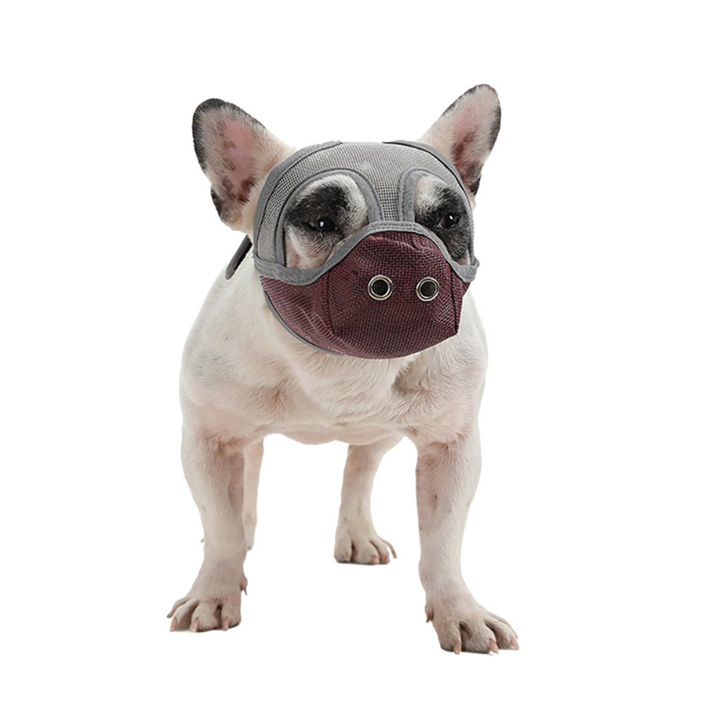 World's Best French Bulldog Muzzle - French Bulldog Store